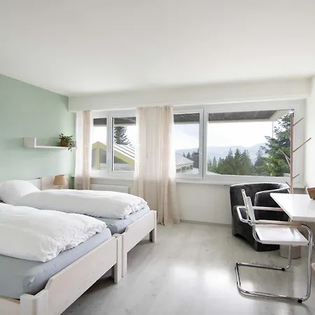 Mont-crosin Bed & Breakfast 3*