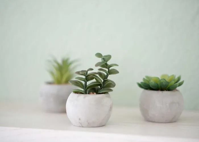 Bed & Breakfast Mont-crosin Cormoret